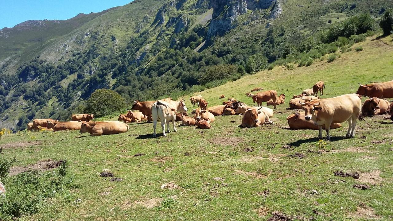 Felechosa Ski & Senderismo Kültér fotó